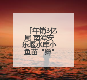 年销3亿尾 南漳安乐堰水库小鱼苗“孵”出大产业